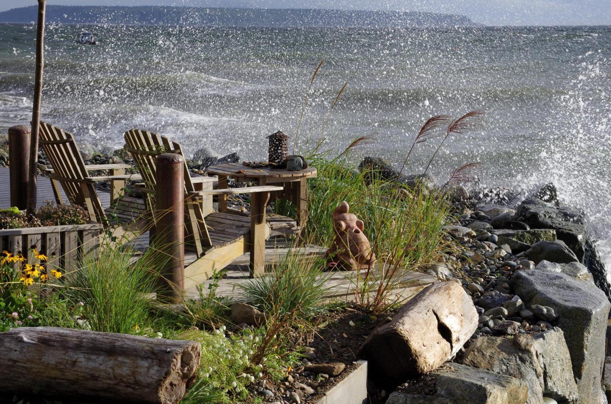 Blitz Beach House Oceanside Suite Powell River Exteriér fotografie